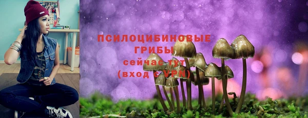 МДПВ Наволоки